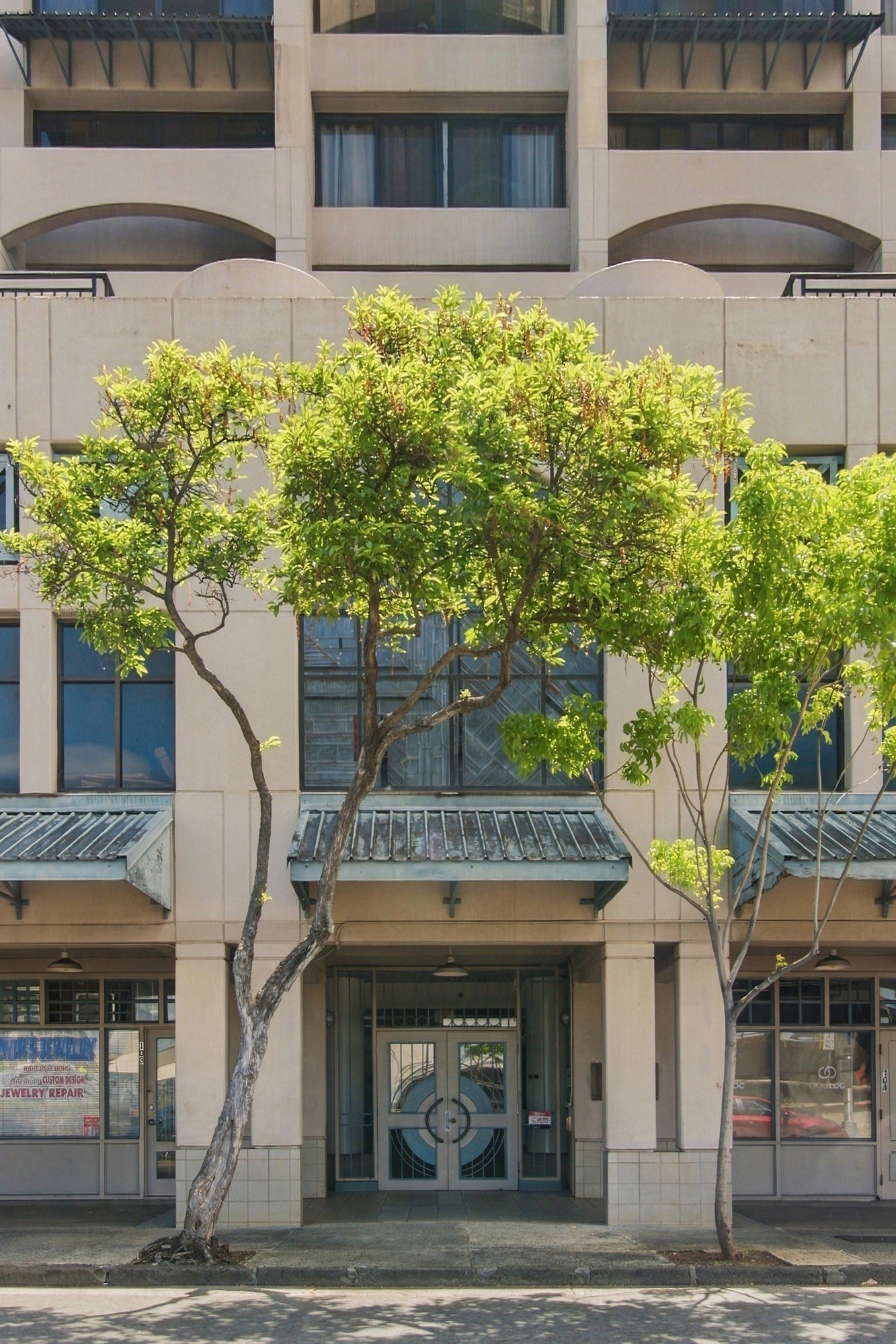 Two trees in front of a building with a glass door.
